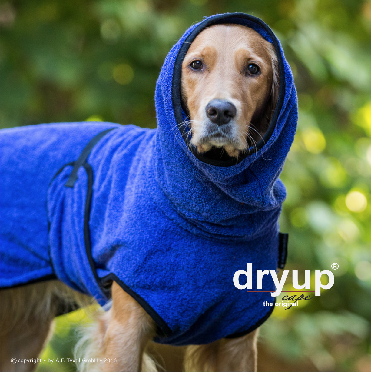 Hundebademantel Dryup Cape blueberry