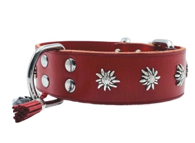 Hundehalsband Edelweiss Sattler